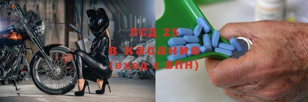 гидропоника Пересвет