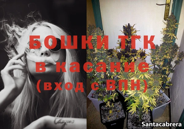 PSILOCYBIN Балахна