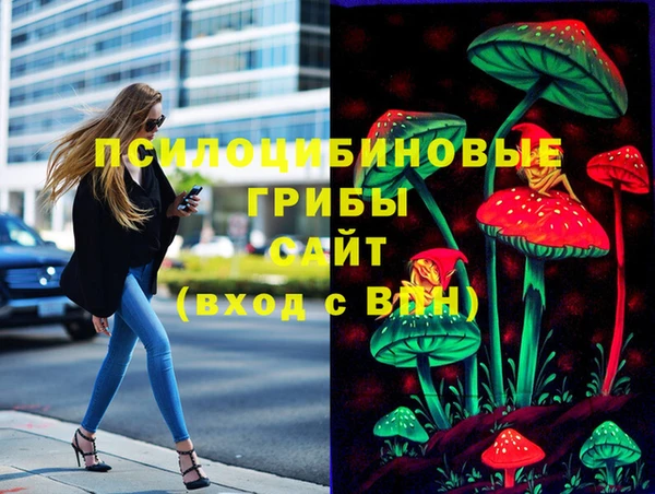 PSILOCYBIN Балахна